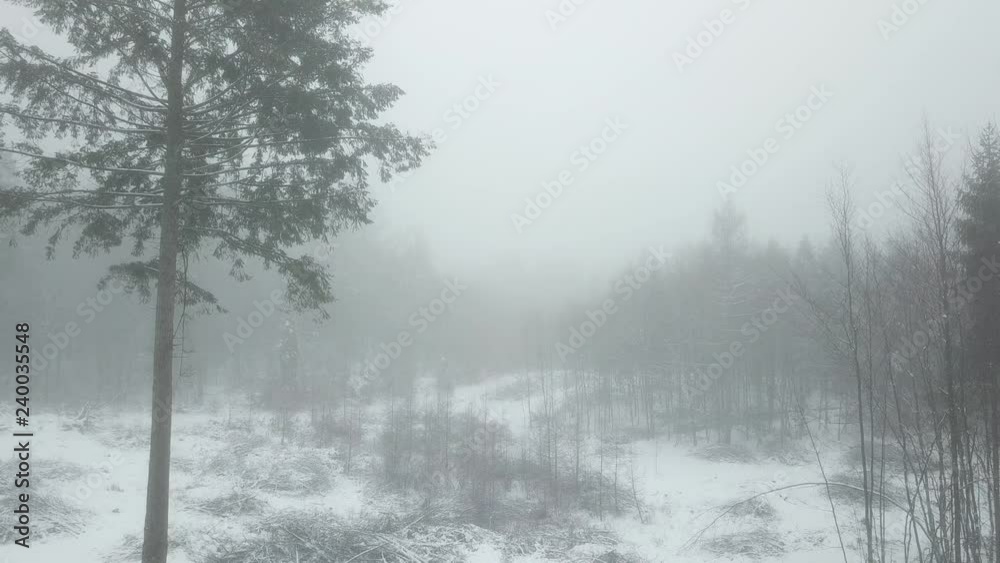 custom made wallpaper toronto digitalfog haze gray gloomy forest trees road path nature winter snow