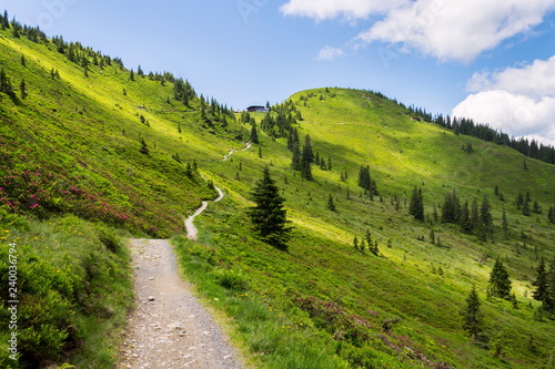 Unrecognizable people walk on beautiful mountain path o in Alps, Austria, sunny summer day, clear blue sky, exploration wanderlust concept photo