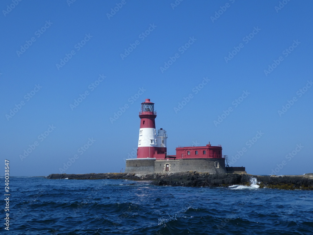 Farne Islands