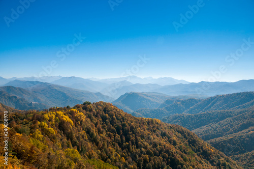 Early Autumn on the Lagonaki Plateau in the Caucasus Mountains
