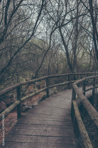 Wood bridge in Cabañeros National Park, Ciudad Real, Spain. © Pedro Cobo