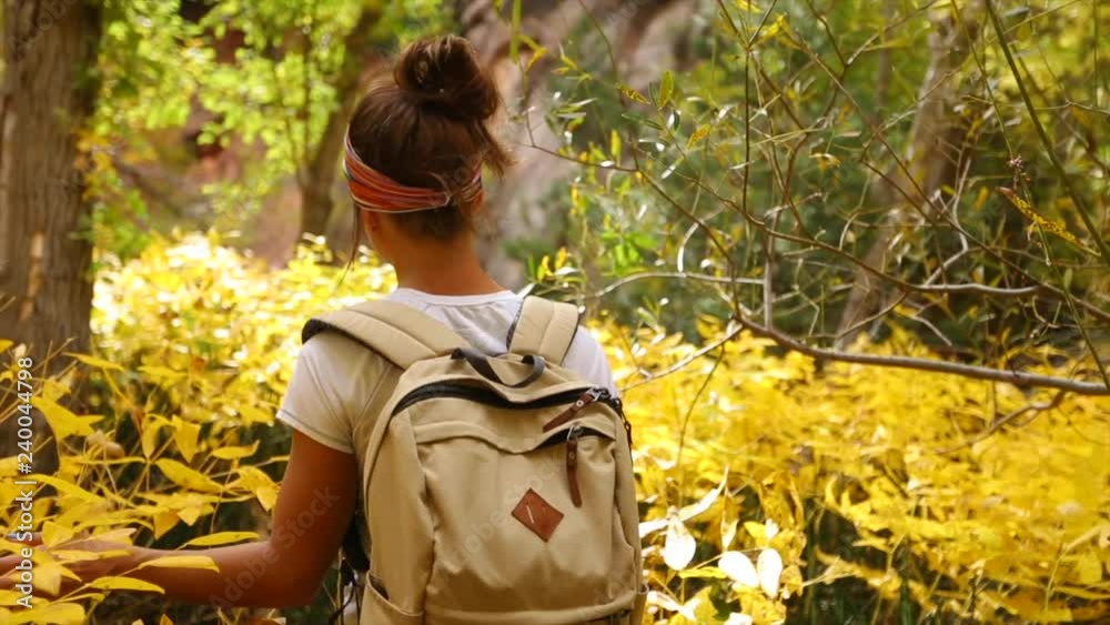 Girl walking through a beautiful forest of yellow trees with leaves falling down and brushing them with her hand. 