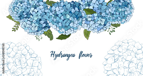 Summer botanical vector design banner. hand drawing . Light blue hydrangea. Natural card or frame. Floral borders. All elements are isolated and editable. template banner