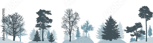 Set of winter forest, silhouette of different trees. Vector illustration.