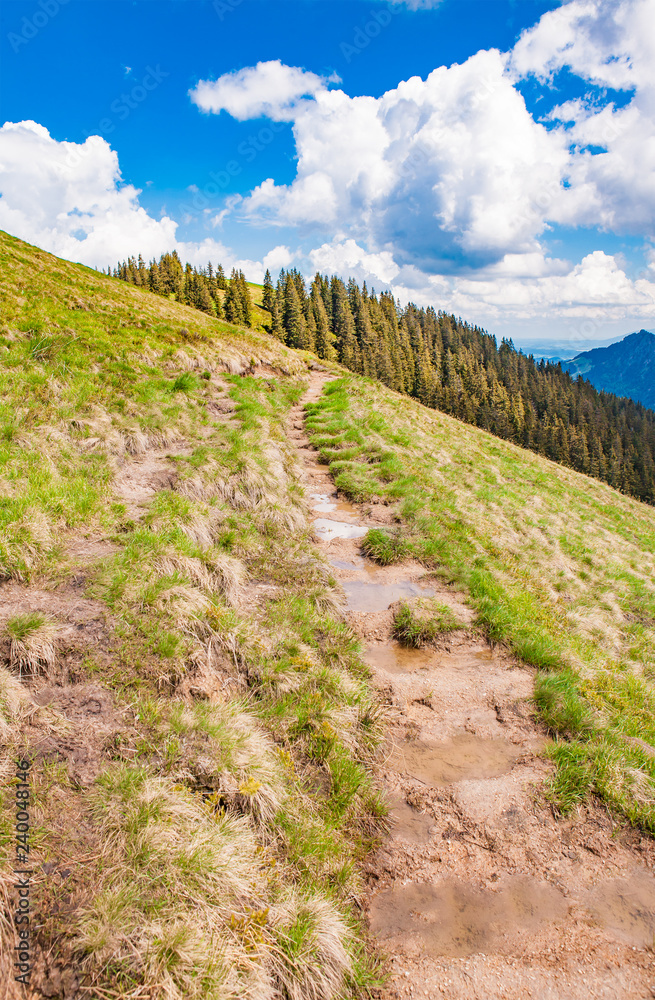 Fototapeta premium Footpath - Oberjoch - Bavaria - Germany
