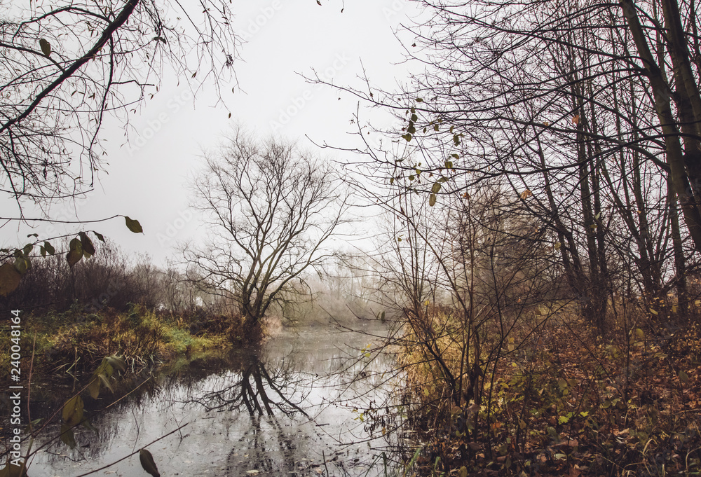 Fototapeta premium Kahle Bäume am Wasser im Herbst