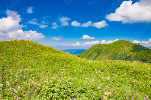 Green mountain landscapes in Oberallgaeu