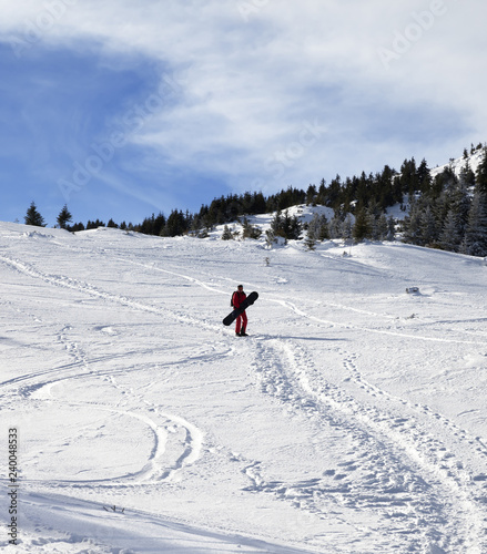 Snowboarder on snowy off-piste slope with snowboard in hands at sun winter morning