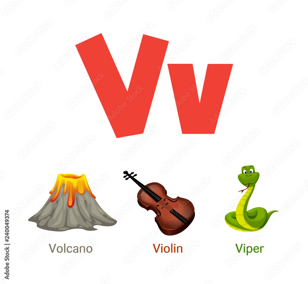 Cute children ABC animal alphabet flashcard words with the letter V for  kids learning English vocabulary. Stock Vector | Adobe Stock