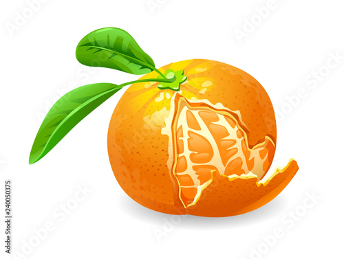 cartoon vector of a mandarin orange