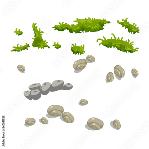 vector set of seaweed and seashells growths