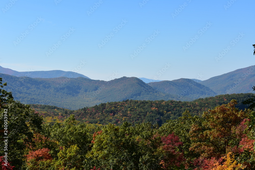Fototapeta premium Smoky Mountains