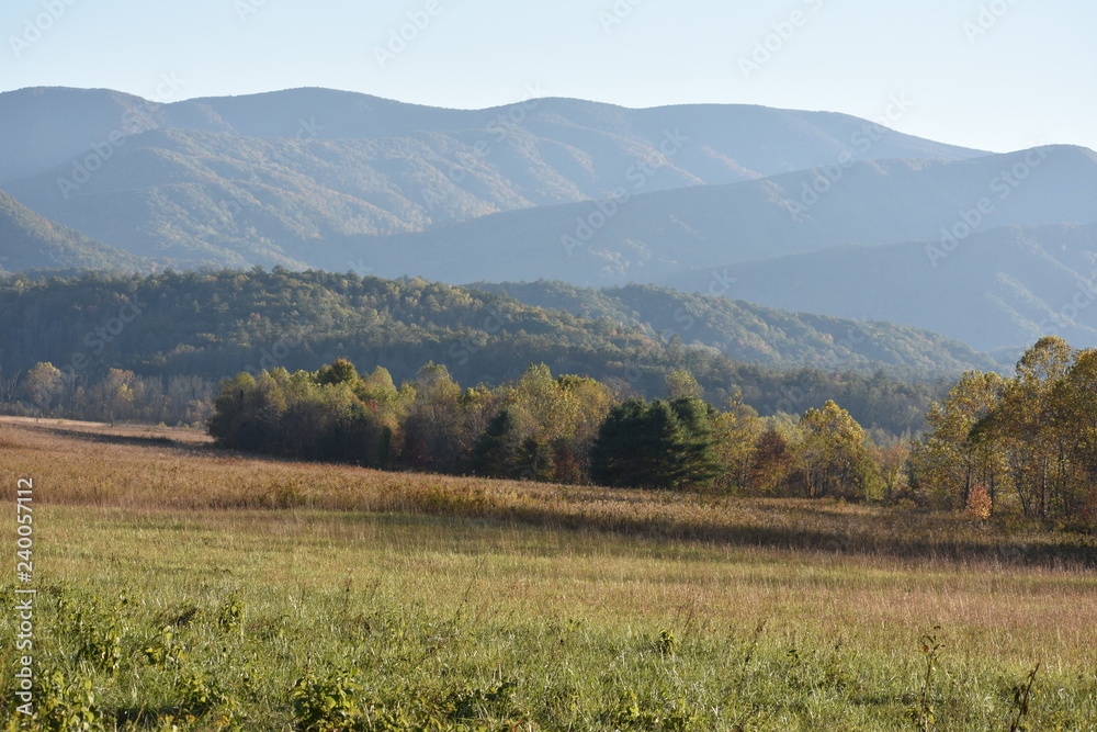 Fototapeta premium Smoky Mountains