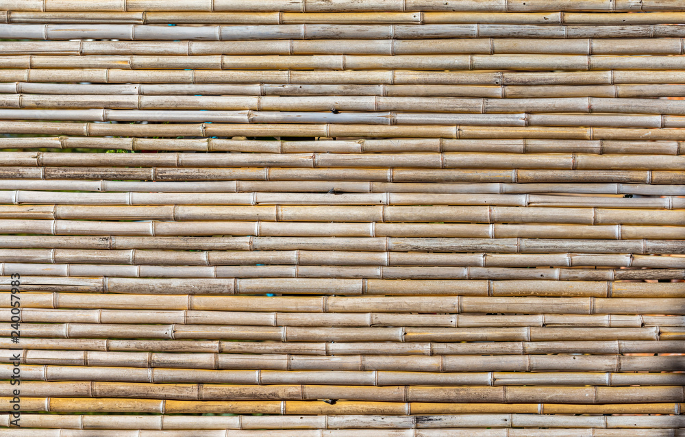 Fototapeta Tło z bambusa