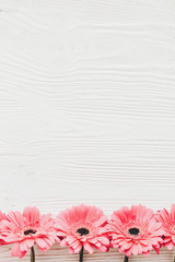 Pink gerbera on white  wooden background,  flat lay with space for text. Bright Floral greeting card mockup. Wedding invitation, happy mother day or Valentine day concept.