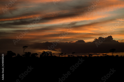 Sunset Sky