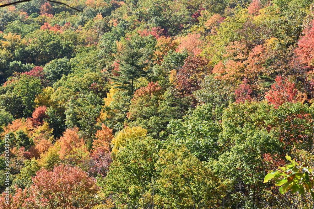 Smoky Mountains