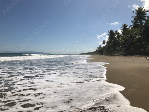 Ein wunderschöner Strand im norden der Dominikanischen Republik an einem fast wolkenlosen Tag mit blauem Himmel. im Hintergrund der Dschungel  photo