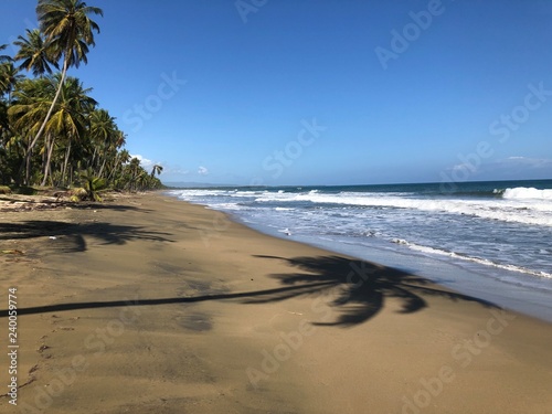 der wohl schönste Strand im norden der Dominikanischen Republik an einem fast wolkenlosen Tag mit blauem Himmel. Der Ozean rechts und der Dschungel links und im Sand der Schatten einer Palme