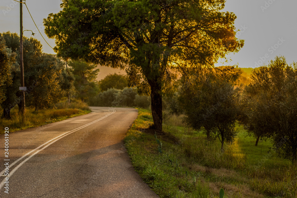 sunset soft focus country side car road in park outdoor village landmark environment space