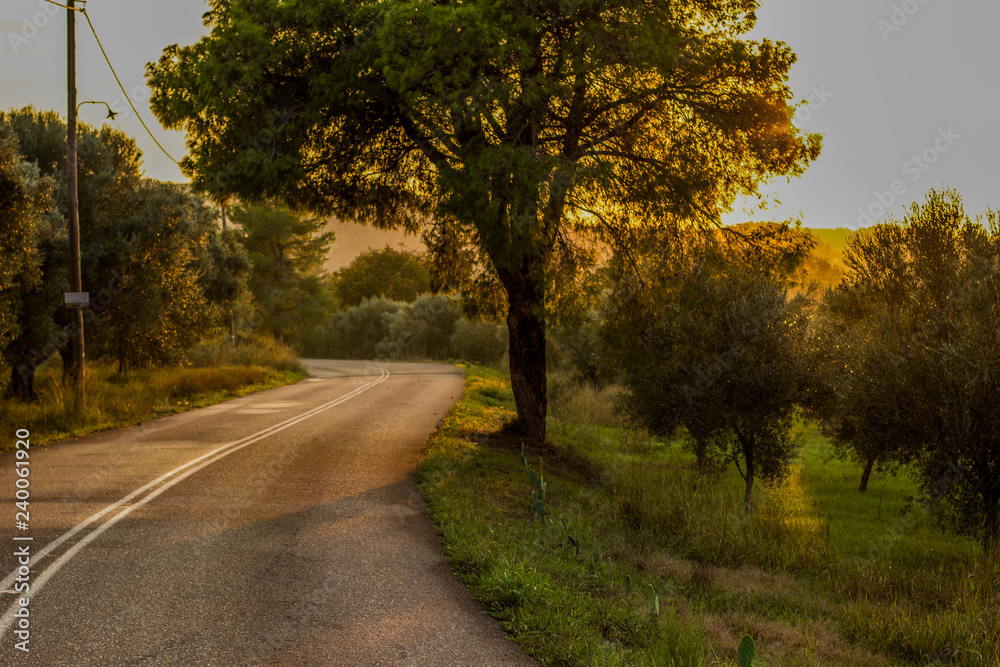Fototapeta premium sunset soft focus country side car road in park outdoor village landmark environment space