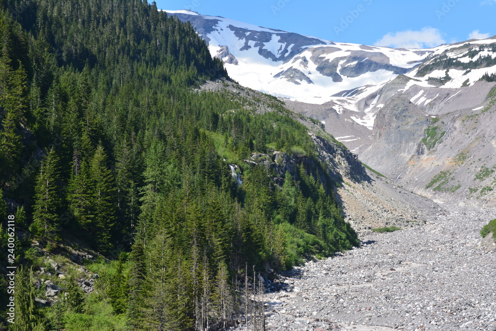Fototapeta premium Rainier and Olympic Mountains