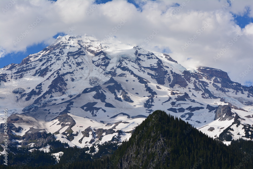 Obraz premium Rainier and Olympic Mountains