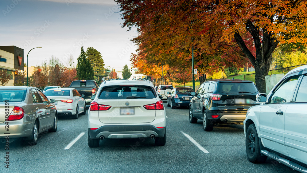 Cars stacked in traffic  on a nice street during autumn.