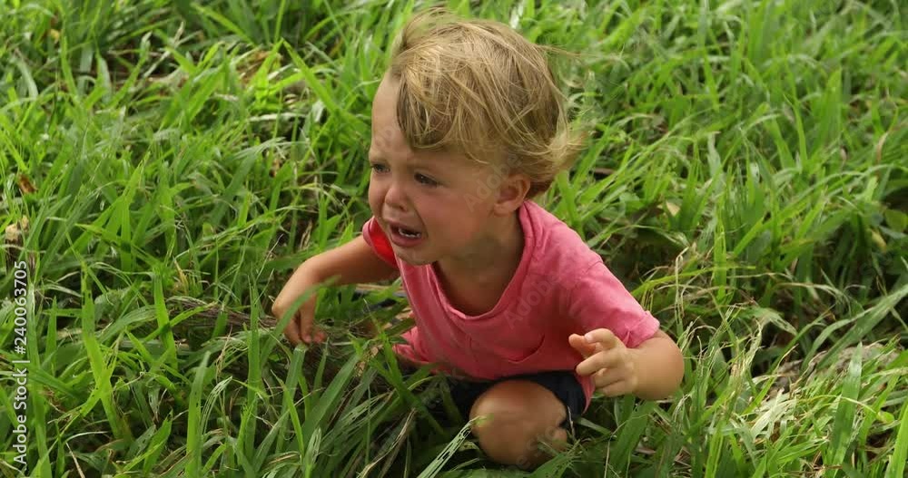 Sad crying toddler pulls his hands up sitting in green grass. Close up portrait of baby boy asking for pick up and help Sad crying toddler pulls his hands up sitting in green grass. Close up portrait of baby boy asking for pick up and help