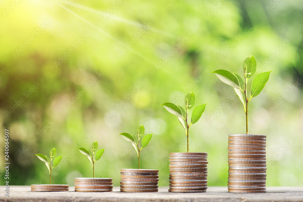 Money coin Steps with bokeh background ,Business Finance and Money concept,Hope of investor concept Money coin Steps with bokeh background ,Business Finance and Money concept,Hope of investor concept