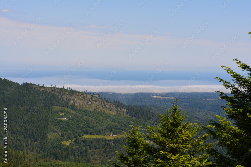 Rainier and Olympic Mountains