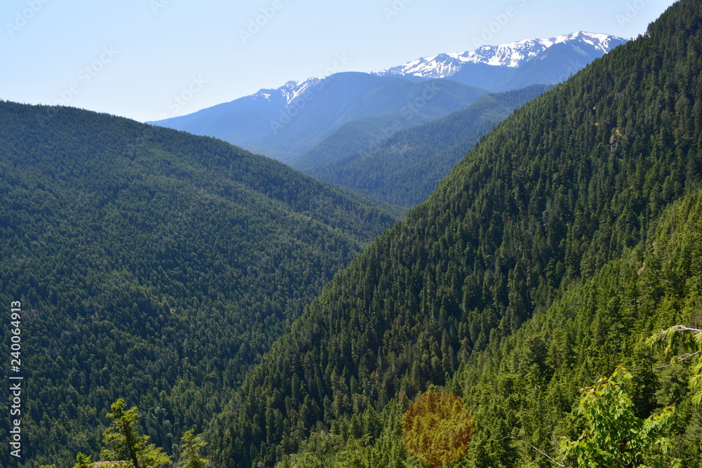 Rainier and Olympic Mountains