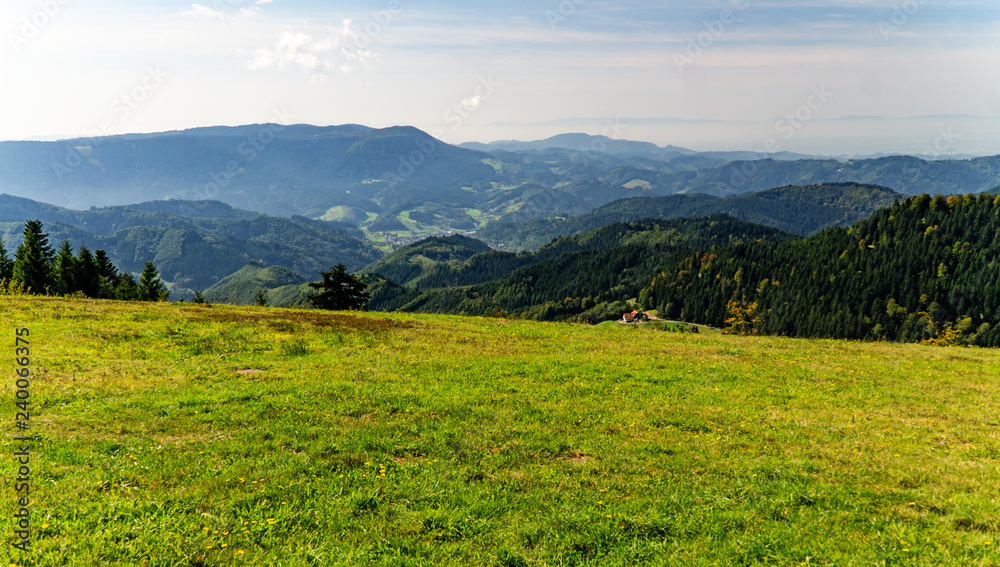 Fototapeta premium Blackforest in Germany