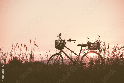 beautiful landscape image with Bicycle at summer grass field.classic bicycle,old bicycle style for greeting Cards ,post card © Looker_Studio