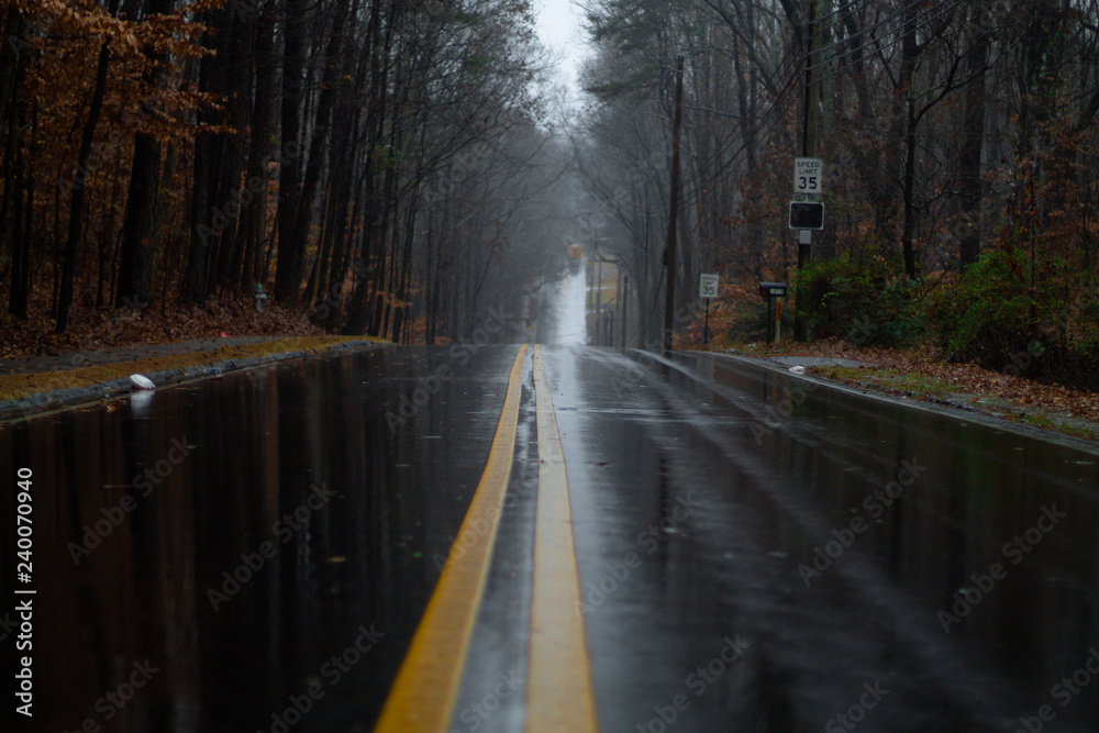 Fototapeta premium road in the fog