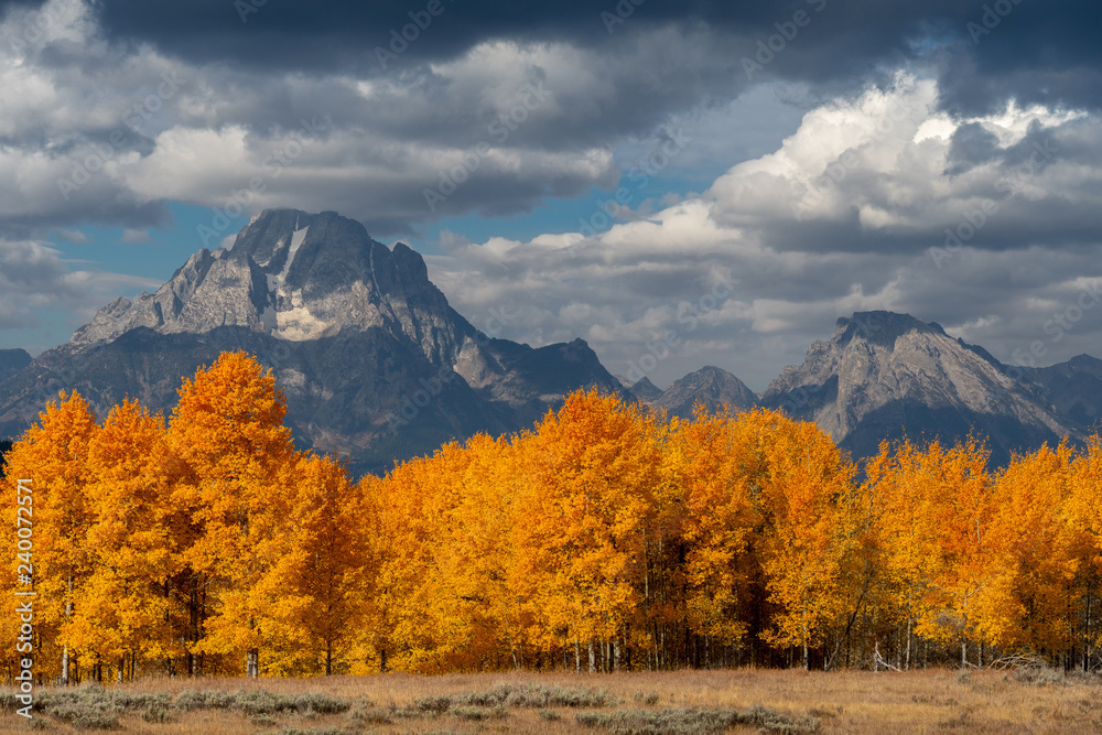 Fototapeta premium Red, yellow, and orange leaves changing with mountain in background