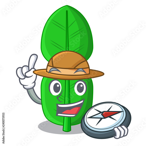 Explorer bergamot leaf in a character funny