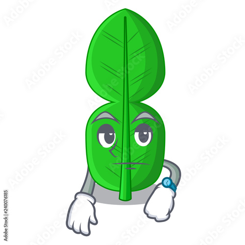 Waiting bergamot leaf in cartoon a interrupting