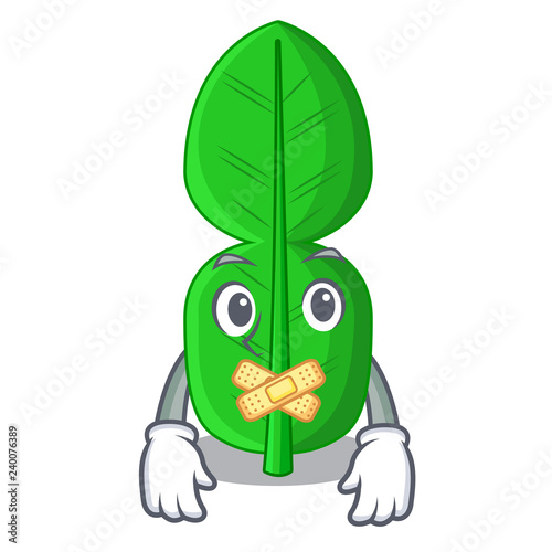 Silent bergamot leaf in cartoon a interrupting