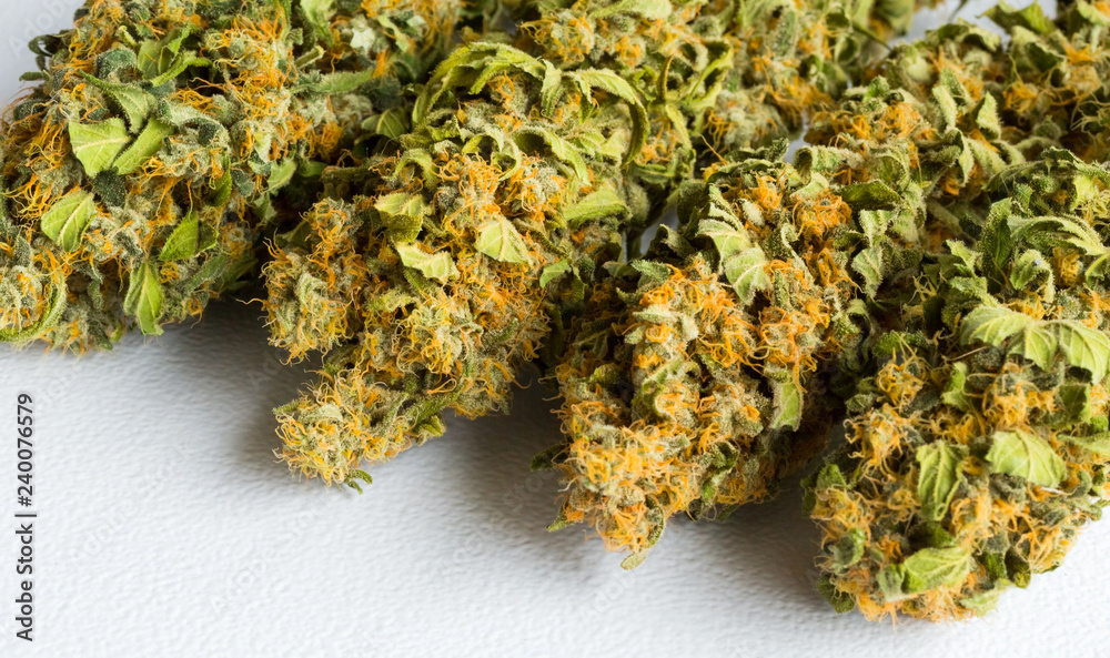 Macro close up of a dried Cannabis Medical Marijuana Macro close up of a dried Cannabis Medical Marijuana