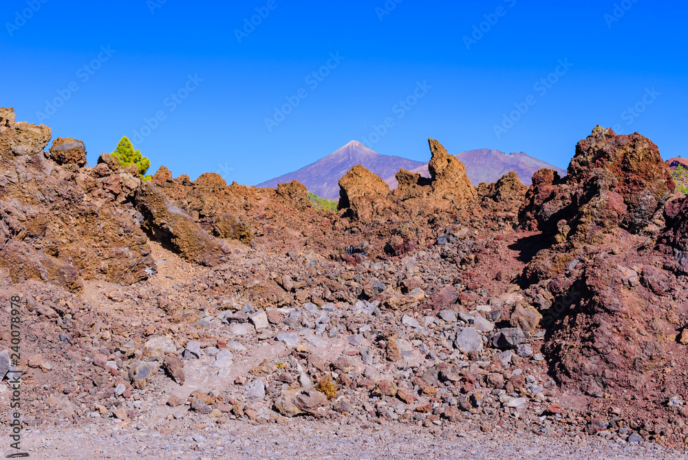 Fototapeta premium Great view to Teide volcano. Tenerife. Canary Islands..Spain