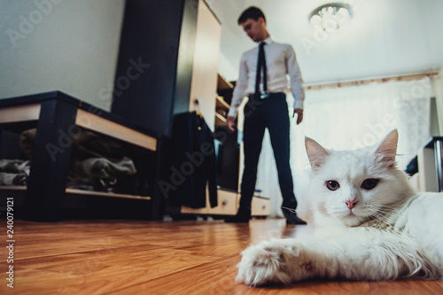 White cat in the foreground lying on the floor in the room. The groom is going to the wedding