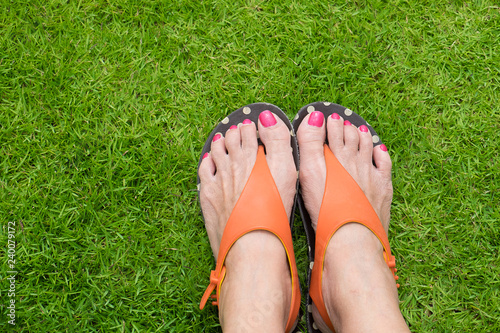 Bilde på lerret High angle view and close up of woman feet with good pedicure and colourful nail polished in orange colour sandal on green grass