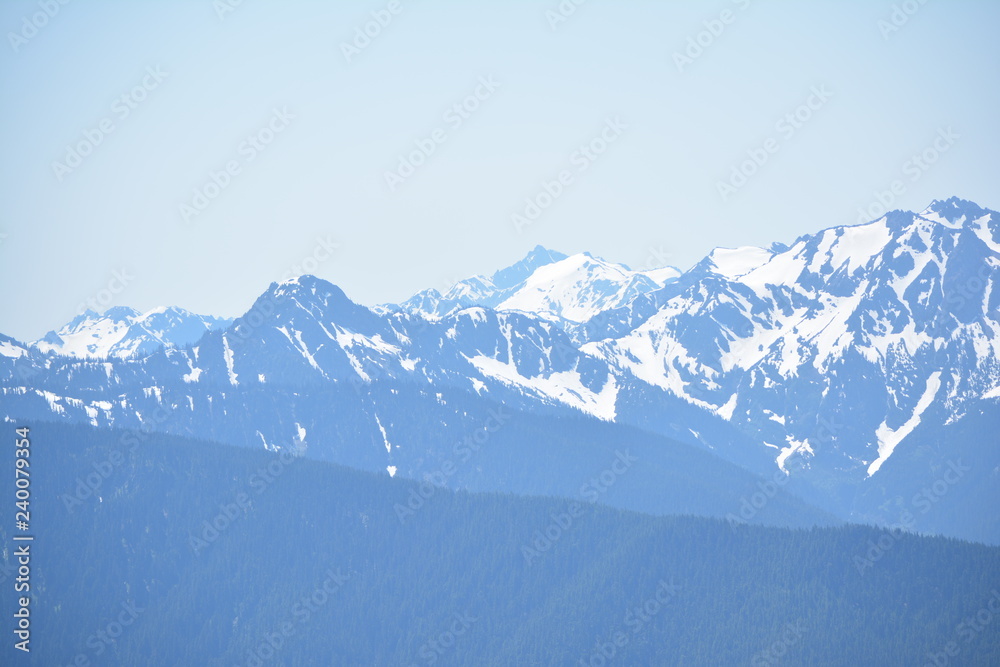 Obraz premium Olympic National Park