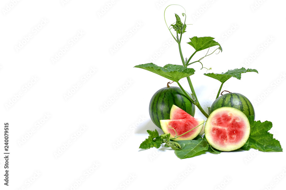 Fototapeta premium Fresh organic watermelons with green leaves and vine isolated on white background with copy space
