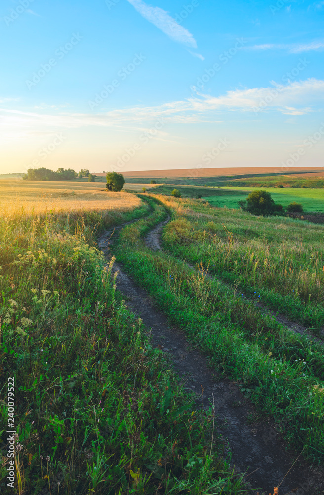 Fototapeta premium Sunny summer landscape with ground country road passing through the wheat fields and green meadows.