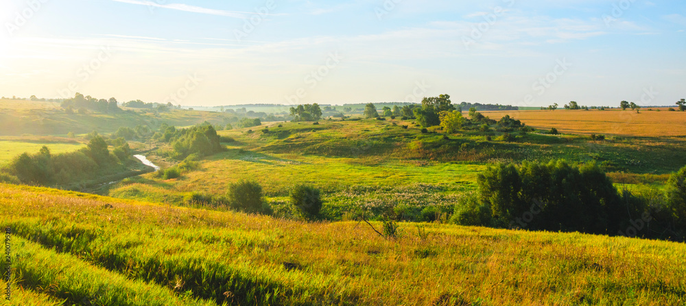 Sunny country summer landscape with green meadows,hills,golden wheat fields and distant woods at sunrise.