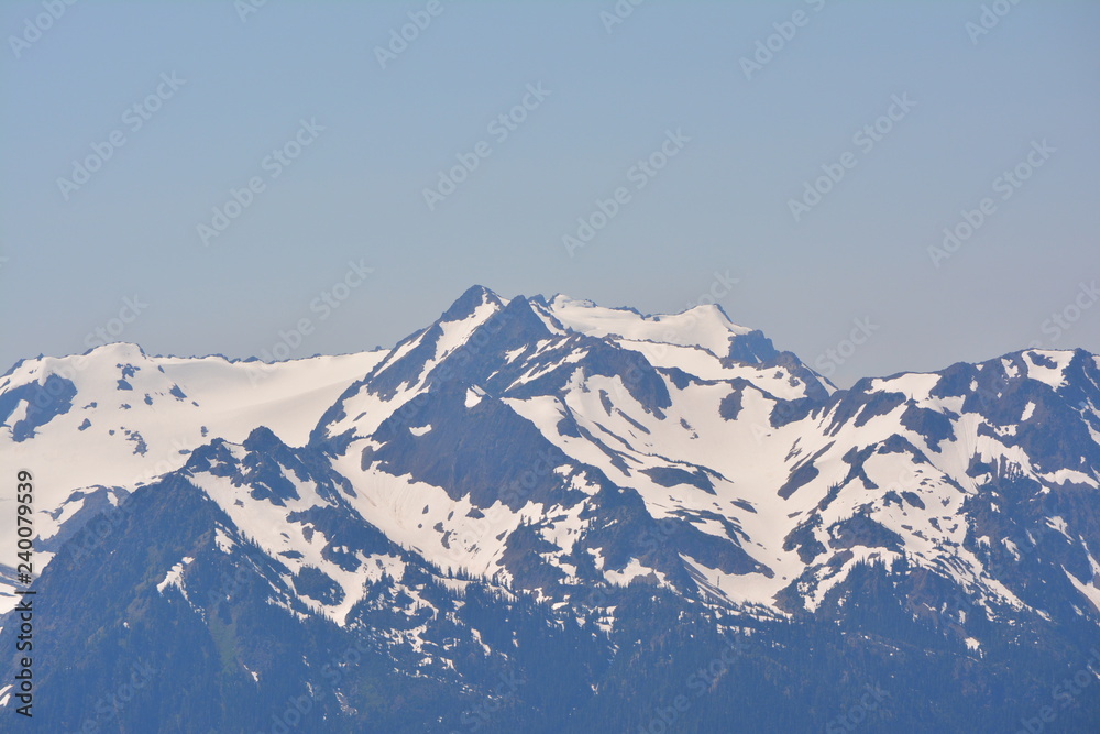 Fototapeta premium Olympic National Park