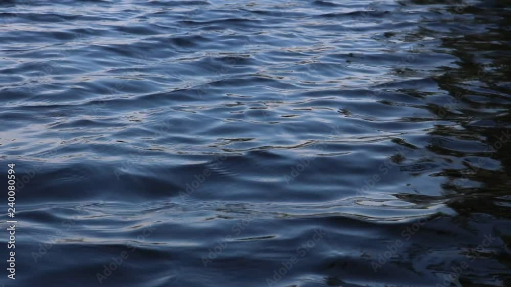 ripples on surface of water ripples on surface of water