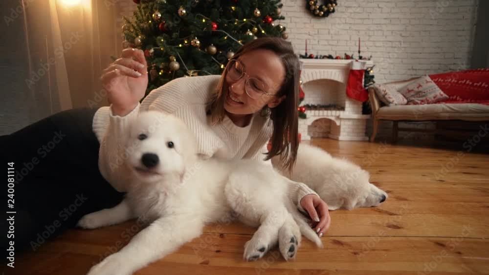 Girl playing with happy puppy on the background of Christmas tree and fireplace Girl playing with happy puppy on the background of Christmas tree and fireplace